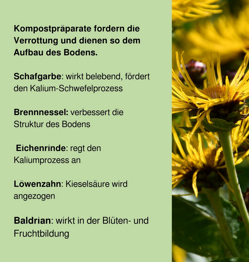 Verantwortung für Generationen